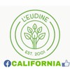 Leudine HERBAL 35 W/35 Essential Oils Headaches Stress Migraine