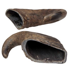 TX-27742 Buffalo Chewing Horn medium