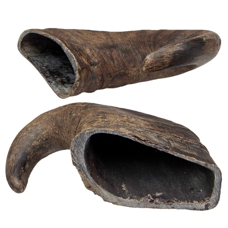 TX-27742 Buffalo Chewing Horn medium