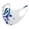 Design Mask Set of 2 Polyester Washable Cloth Mask for