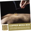 KOMBIUDA 2sets 10pcs Boxes Smokeless Moxa Storage Boxes Portable Scald