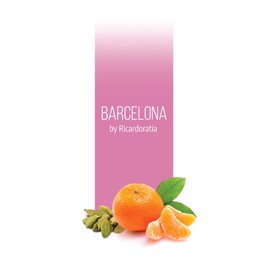 Home Luxury Scents Home Luxury Scents - Barcelona
