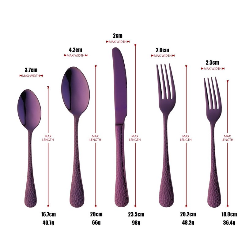Bisda 5-Piece Purple Silverware Flatware Set Service for 1 Stainless