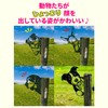 Lezalic Gardening Figurine Ornaments Iron Plate Object Gardening Animal Interior