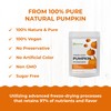 eHerbal Pure Freeze-Dried Pumpkin Powder, 2.43 oz – 100% Natural