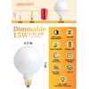 OMAYKEY 15W Dimmable Large LED Globe Bulb 100W Equivalent 1000