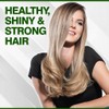 CHI Tea Tree Oil Shampoo, Strengthening Shampoo For Gently Cleansing
