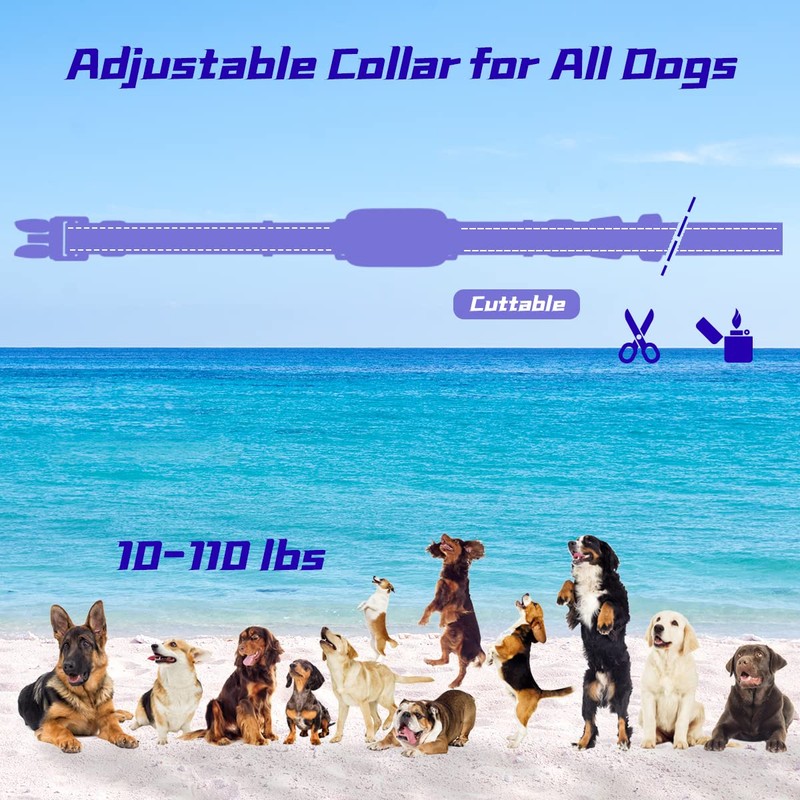 Dog Training Collar with 3300Ft Remote Range 4 Training Modes