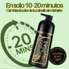 Shampoo Tinte Instantneo Cubre Canas Negro 500ml
