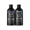 Kit Platinado Shampoo Platinum Black Y Platinum Black Matiz