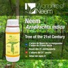 Pure Neem Oil - Cold Pressed - 500 ml -