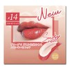 NoMess Lips 14 Smokey Red Lipstick 4ml