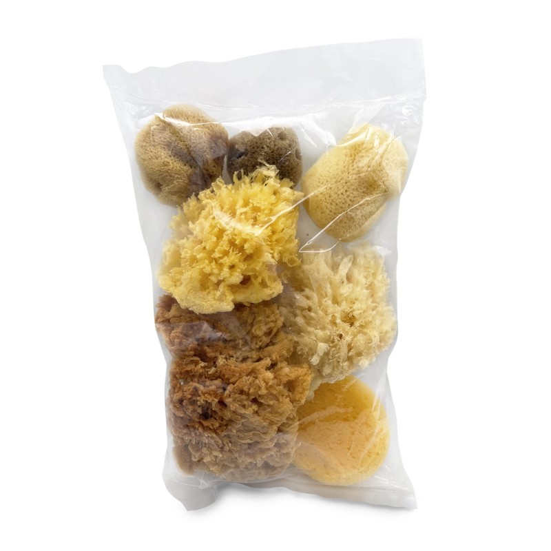 Natural Sea & Synthetic Sponges - Assorted Sizes 7pc Value
