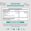 Creatina Monohidratada Micronizada Polvo 100 Alta Pureza Certificada Pre Workout