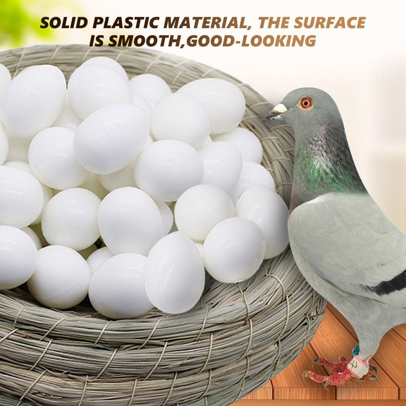 Cikonielf 50 Pieces Pigeon Eggs Solid Plastic Eggs Dummy Eggs