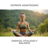 PRONACEN Raíz Herbal Ayurvédica duo | 2 pack suplementos ayurvédicos