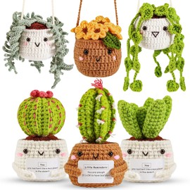 ASTNIC Crochet Kit for Beginners Adults, 6 PCS Hanging Potted Plants and Succulent Family Knitting Starter Kit,Complete Crochet Yarn Set with Detailed Instructions, DIY Crafts Gift Decorative Home
