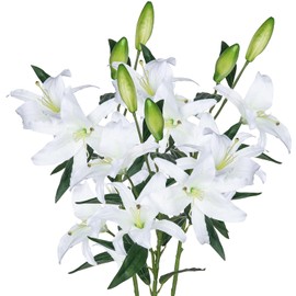 Grand Verde Lirio Ramo Flores Artificiales 76cm Alto Docenas Cabezas de Seda Florecientes - Decoración Hogar Boda Fiesta Interior Tienda Oficina Manualidades Centro Mesa - Juego de 3 Piezas (Blanco)