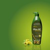 Clear Essence MNB Skin Tone Olive Oil Smoothing Lotion 21oz