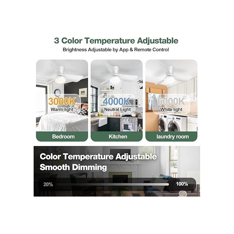 Acesal 30 Inch Ceiling Fan with Light APP & Remote