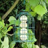 Natures Market 2 x BF008FB Squirrel Guard Hanging Fat Ball