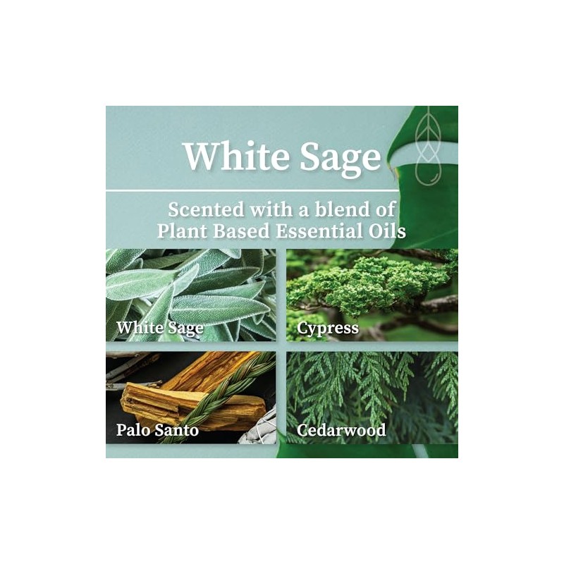 Hemlock Park White Sage Scented Reed Diffuser | Smokeless Candle