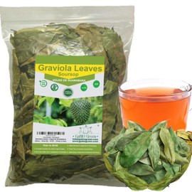 Gabio Green- Whole Soursop leaves (+1/2 Pound /8.1 oz) 670 + leaves aprox, Big Bag, Hojas de guanabana, tea Soursop, Resealable Bag, Dried Herbs, NON- GMO, Gluten Free. (8.1 oz) 670 + leaves aprox.