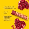 Burt's Bees Pomegranate Moisturizing Lip Balm, 0.15 oz