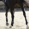 Equilibrium Stretch & Flex Flatwork Exercise Wrap