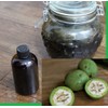 HEALTH RELIC Black Walnut Extract 4 oz Organic Juglans nigra