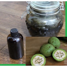 HEALTH RELIC Black Walnut Extract 4 oz Organic Juglans nigra Ripe Green Hulls Tincture