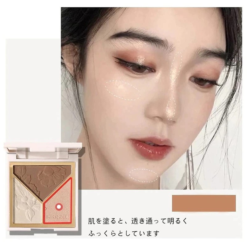 Light and Shadow Artist Blush Shading Highlights All-in-One Disc Brighten