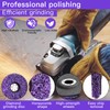 CSD Sanding Disc 125 mm - 5 Pieces Purple Cleaning