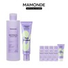 Pore ​​Schrinker Bakuchiol Cream 60ml + Retinol Ampoule Toner 250ml / 포어 슈링커 바쿠치올 크림 60ml + 레티놀 앰플 토너 250ml
