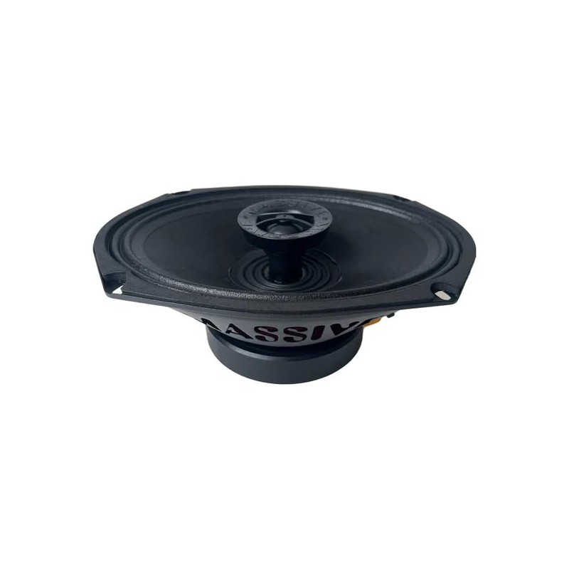 Massive Audio GT69SP | 6x9 2-Way 120 Watts RMS |