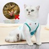 1-Piece Recovery Suit for Cats, Body for Cats After Surgery,
