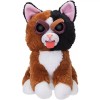 Feisty Pets Expressions Silly Mary Monstertruck The Calico Cat Sticks