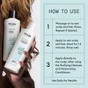 Nioxin Kit del Sistema Scalp Recovery™ - Picor y Caspa