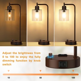 Innqoo Brown Industrial Bedside Table Lamp for Bedroom - Nightstand Lamps with USB C Charging Port, Fully Dimmable Black Ports and Outlets, Small Desk Glass Shade Office Living Room