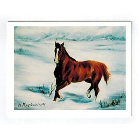Horse In Snow Note Cards Set - 12 Notecard By Ruth Maystead (HOS-2)
