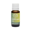 RATHAUS APOTHEKE WIEN Concentrated Bud Extract - Gemmotherapy - Humulus