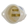 Bryant Electric 5278 Industrial Grade 15 Amp 125V Nema 5-15P