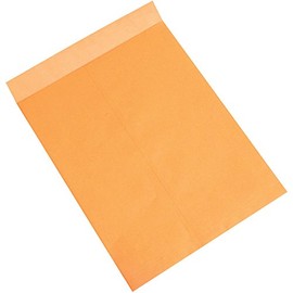 Jumbo Envelopes, 18" x 23", Kraft, Large Envelopes for Protecting, Mailing and Shipping Oversized Printed Items, Case of 100