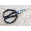 Crude - Small 2 Inch Asian Carbon Steel Kitchen Shears