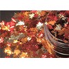 Nail Art Autumn Maple Leaf Holo Mixes 5mm (577 -
