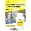 【集中力 やる気 学習 ドーパミン セロトニン 健康総合力 サプリ】キロン SVS イチョウ葉 120mg
