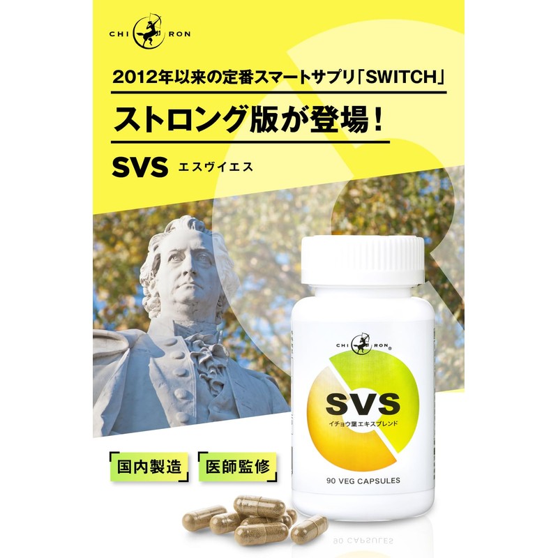 【集中力 やる気 学習 ドーパミン セロトニン 健康総合力 サプリ】キロン SVS イチョウ葉 120mg