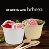 SAHENITEANA Bagasse Fiber Souffle Cups, 100% Biodegradable, Mini Paper Disposable
