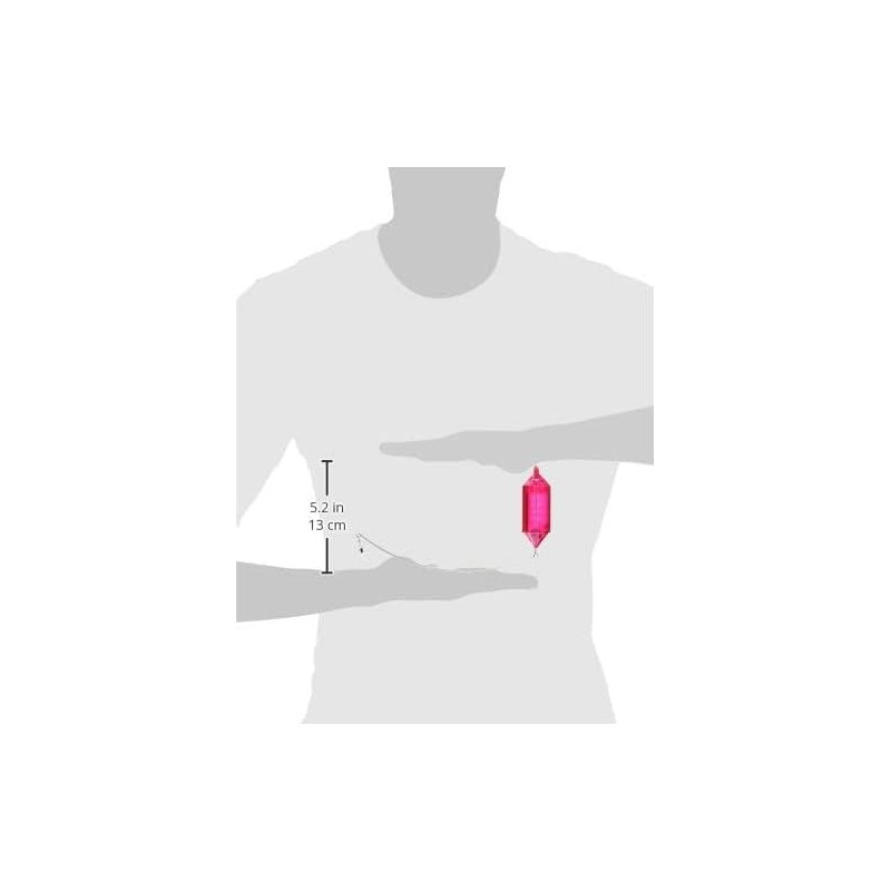 Sunny Shoji Apollo Long Casting Sabiki Basket, Size S 8