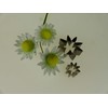 PME Stainless Steel Daisy 8 Petal Cutters, Small Size, Set